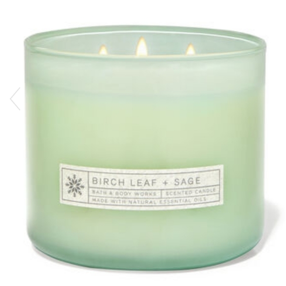 Bath & Body Works Other - Bath And Body Works Birch Leaf Sage 3 Wick Candle